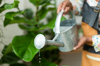 small-business-worker-watering-plants 1
